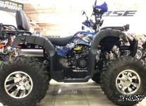 Квадроцикл FXMOTO BULL-200