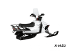 Снегоход C.MOTO Snowmax T-200