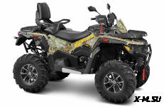 Квадроцикл STELS ATV650 (TE) ГЕПАРД 2.0 К02 GN