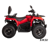 Квадроцикл Bizon YK250 BASIC CARB